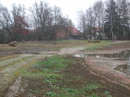 Foto 1 des erworbenen Grundstückes nach der Renaturierung