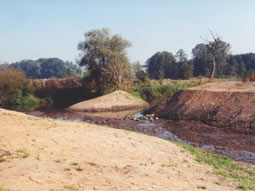 Foto2 reaktivierter früherer Flusslauf