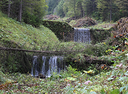 Gewässerunterhaltung Alpbach