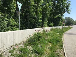 >Die Hochwasserschutzmauer schützt den Ortsteil Oberwöhr vor hundertjährlichen Hochwasser der Mangfall.