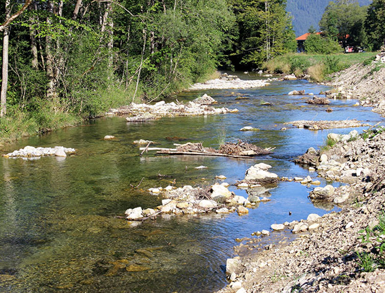   Nach den Bauarbeiten: Die Leitzach bei Geitau nachher - strukturreich und naturnah
