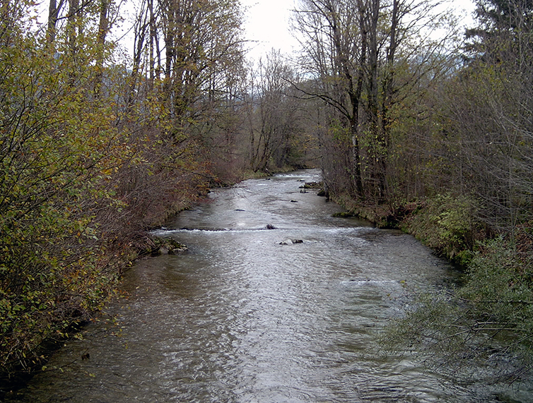 Vor den Bauarbeiten: Nicht durchgängigen Sohlschwellen erschwerten Fischen das Wandern.