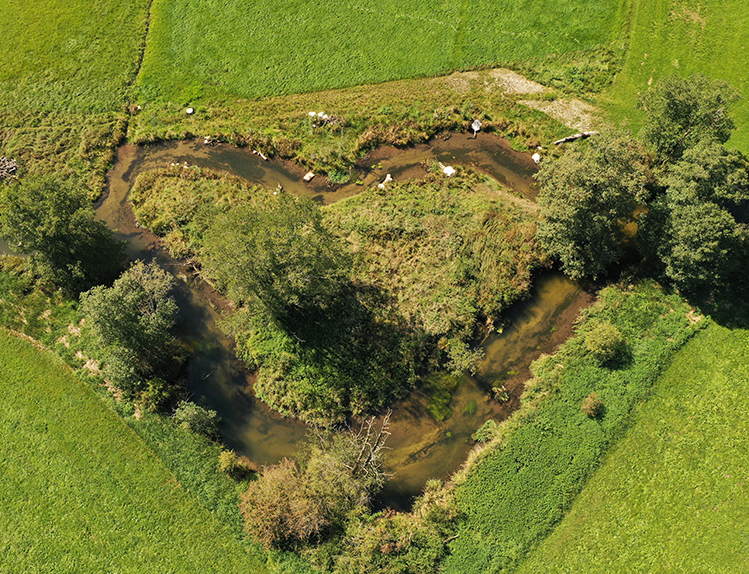 Link führt zur Seite Wasserrahmenrichtlinie Glonn
